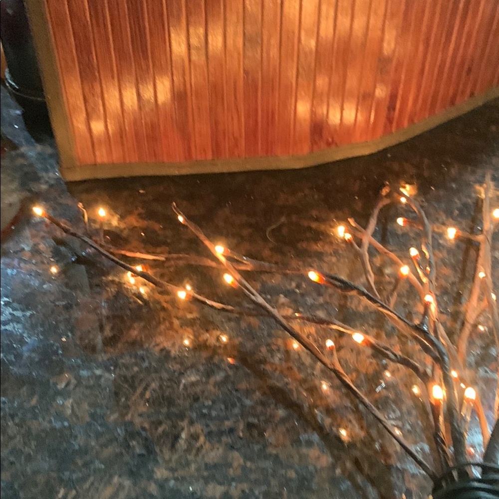 Warm LED Lighted Branches - Picture 3 of 4